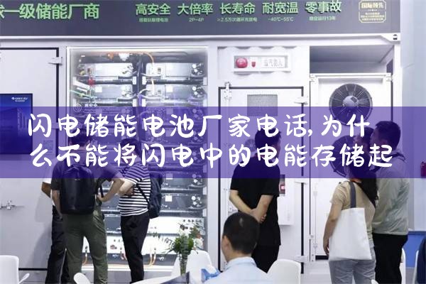 闪电储能电池厂家电话