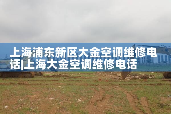 Ϻֶյά޵绰