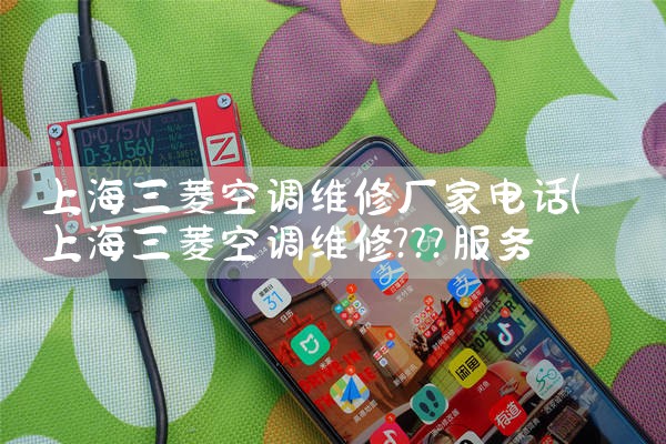 ںӹ͵籦ҵ绰