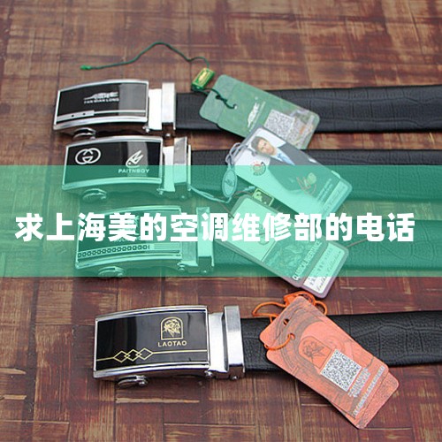 ַ:Ϻ·1555Ū16 24Сʱѷ绰:400-820-4515 绰:021-51086744 :zhuhengzl@163.com ַ:www.shzhuheng.co|ά