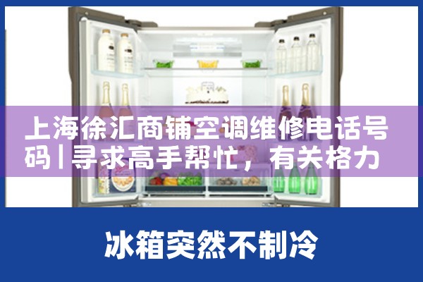 Ϻ̿յά޵绰|ά޿ͷ绰